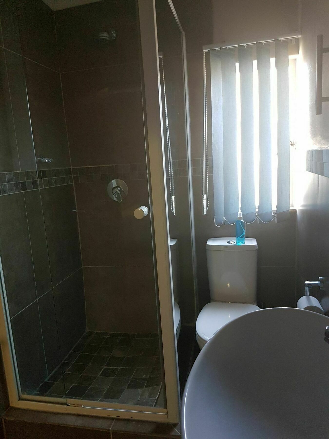 Blue Sparrow Guest House Middelburg  Dış mekan fotoğraf